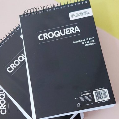 CROQUERA PROARTE 13X19CM 100HJS - 2