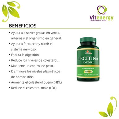 SUPLEMENTO ALIMENTICIO VITENERGY CREATINA + LIPO SLIM BLOQUEADOR CARBOHIDRATOS + LECITINA DE SOYA - 2