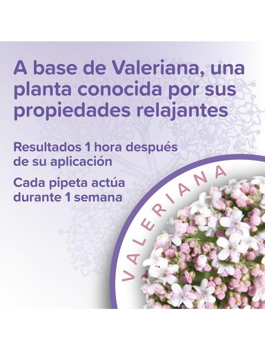 CALMING SPOT ON PERRO BEAPHAR 3 PIPETAS | RELAJANTE NATURAL - 3