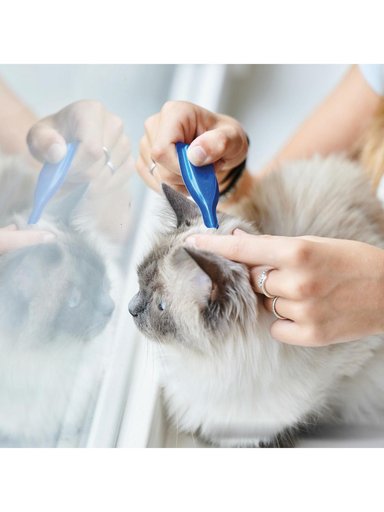 CALMING SPOT ON GATO BEAPHAR 3 PIPETAS | RELAJANTE NATURAL - 3