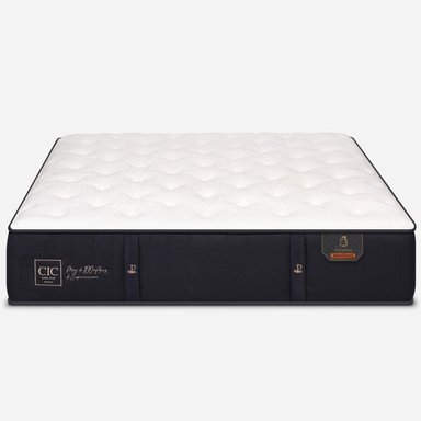 CAMA BAÚL GRIS 2 PLAZAS DIVIDIDA L190 + COLCHÓN CIC PREMIUM + RUEDAS DELUXE - 6