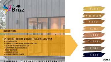 PINTURA BAUM BRIZZ FIBROCEM SIDING “GRIS” TINETA 16 L - 2
