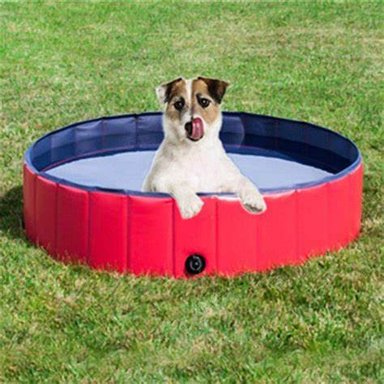 PISCINA PERROS VERANO PISCINA MASCOTAS BAÑERA PLEGABLE 80X30 - 1