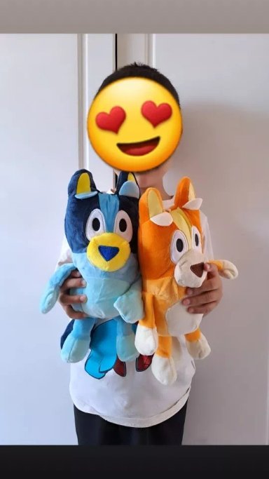 SET DOS PELUCHE SERIE BLUEY 28 CM NUEVOS BLUEY Y BINGO - 5