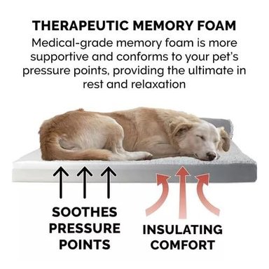 CAMA ORTOPÉDICA PREMIUM PARA MASCOTAS XL MEMORY FOAM - 5