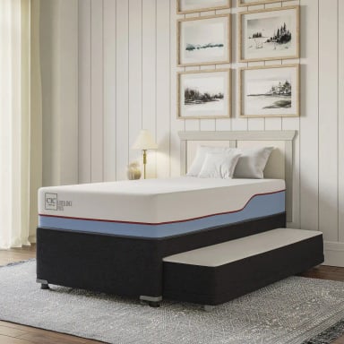 JUEGO DE DORMITORIO CIC CAMA DIVAN EXCELLENCE PLUS 1.5 PLAZAS NEGRO + RESPALDO VILLARRICA OLIVO - 11