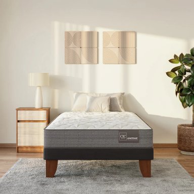JUEGO DE DORMITORIO CIC CAMA EUROPEA ANATOMIC 1.5 PLAZAS + RESPALDO TORINO ALPINO - 9
