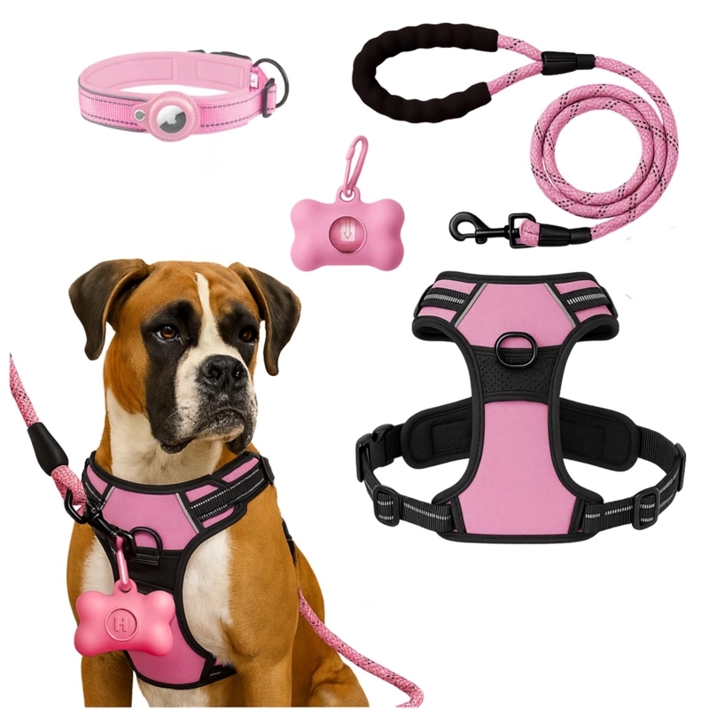 SET ARNES CORREA COLLAR PORTA GPS + REGALO
