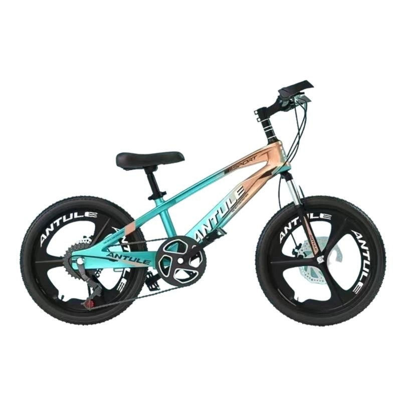 BICICLETA INFANTIL 10-15 AÑOS ARO 22 LUBABYCAS VERDE