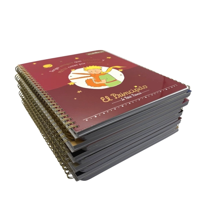 SET 10 CUADERNOS UNIVERSITARIOS 100 HOJAS CUADRICULADAS 7MM EL PRINCIPITO