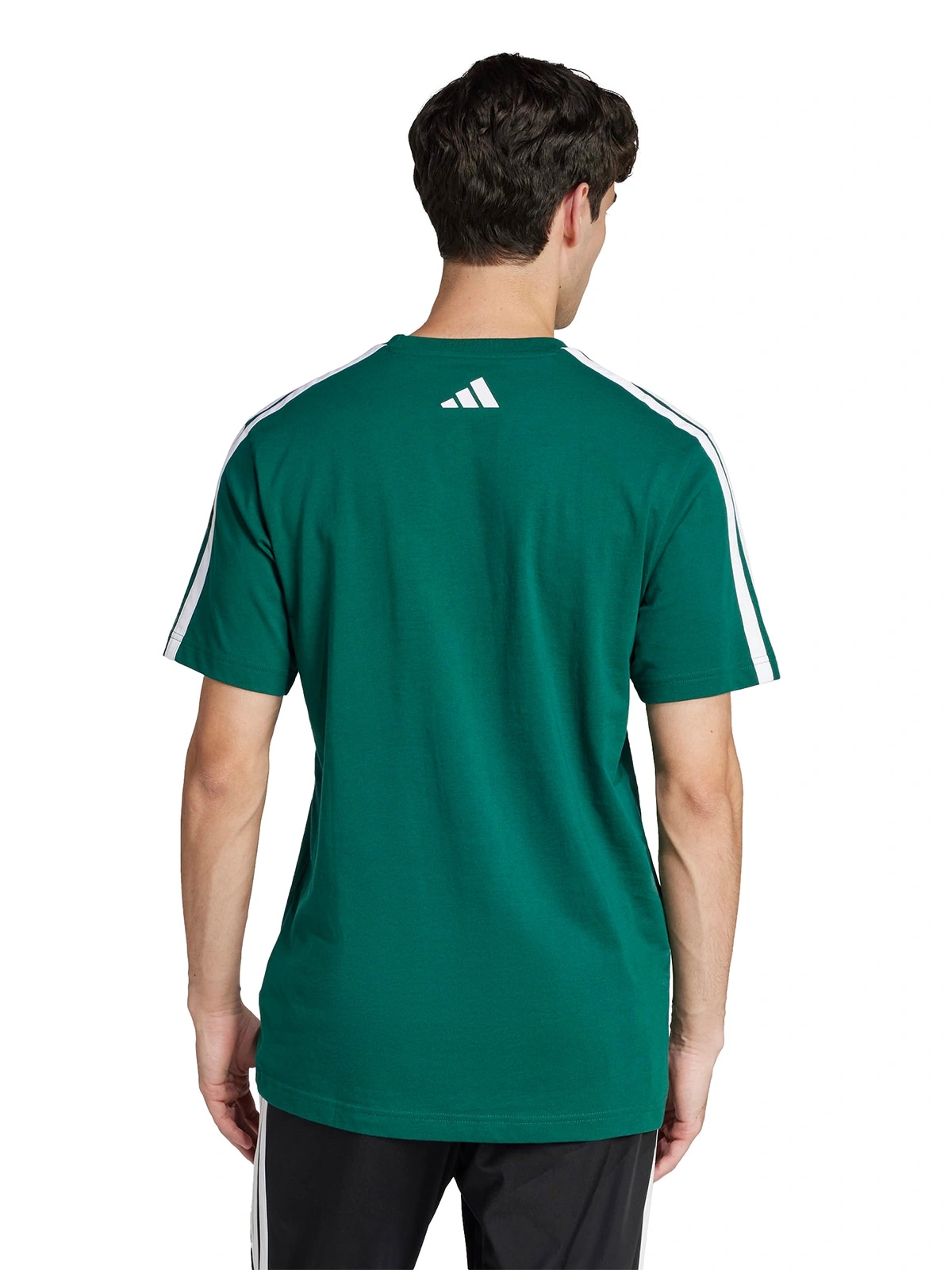 POLERA HOMBRE ADIDAS JJ3869 ALGODÓN VERDE MANGA CORTA CODES