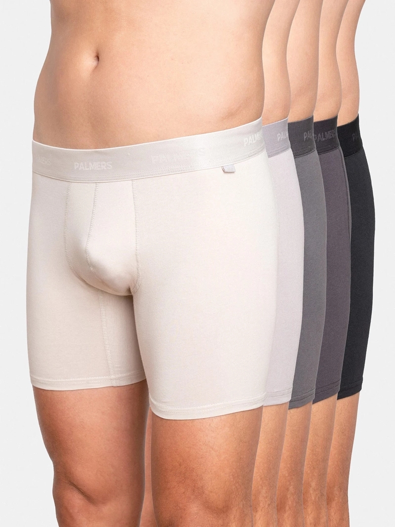 PACK X5 BÓXER HOMBRE PALMERS ALGODÓN 