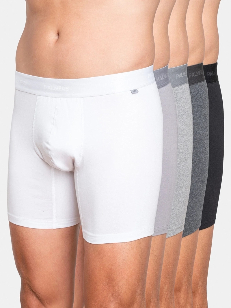 PACK X5 BÓXER HOMBRE PALMERS ALGODÓN 